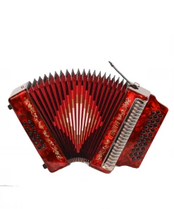 BARONELLI USA AC3112STG Full Size 31 Button Accordion Accordions