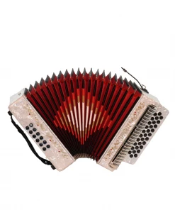 BARONELLI USA AC3112STG Full Size 31 Button Accordion Accordions