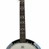 Folk Instruments Danville USA 5 String 24 Bracket Banjo, Equipped With Remo Heads