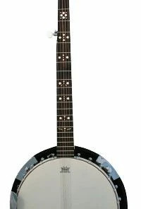 Folk Instruments Danville USA 5 String 24 Bracket Banjo, Equipped With Remo Heads
