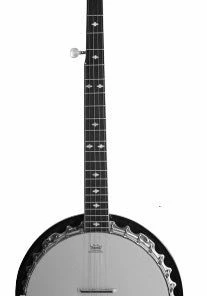 Danville USA 5 String 30 Bracket Banjo, Equipped With Remo Head