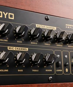 Joyo BSK-60 Acoustic Amp 60 Watts Bluetooth Rechargeable Battery Looper With Foot Switch