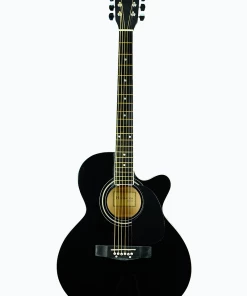 Huntington USA Thin Line Dreadnought Cutaway Acoustic Guitars