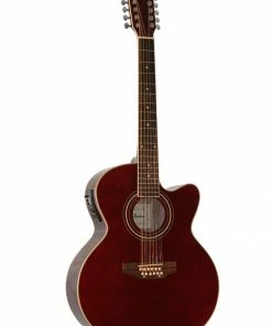 Glen Burton USA 12 String Jumbo Body Acoustic Electric Cutaway Guitar Acoustic Guitars