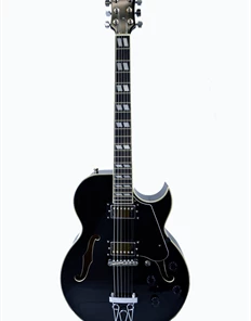 Glen Burton USA Chicago 775 Style Hollow Body Electric Guitars Acoustic Guitars