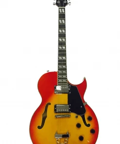 Glen Burton USA Chicago 775 Style Hollow Body Electric Guitars Acoustic Guitars