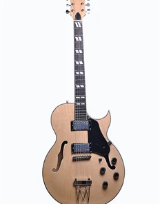 Glen Burton USA Chicago 775 Style Hollow Body Electric Guitars Acoustic Guitars