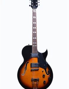 Glen Burton USA Chicago 775 Style Hollow Body Electric Guitars Acoustic Guitars