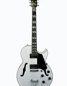 Glen Burton USA Chicago 775 Style Hollow Body Electric Guitars Acoustic Guitars