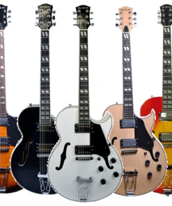 Glen Burton USA Chicago 775 Style Hollow Body Electric Guitars Acoustic Guitars