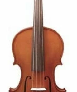 Gliga Gems Gliga GVSB-1 Gems 2 Violin 4/4 Full Size - Made In Europe Violin's
