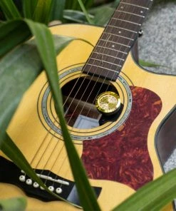 Humidifier's Guitto Guitar Humidifier With Humidity Meter