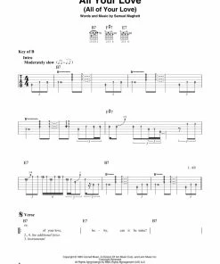 Hal Leonard USA FIRST 50 BLUES SONGS YOU SHOULD PLAY ON GUITAR