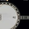 Hal Leonard USA Print Music HAL LEONARD TENOR BANJO METHOD