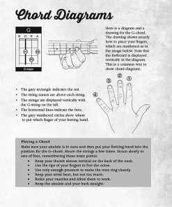 Hal Leonard USA THE ELECTRIC STRUM BOX UKULELE COMPLETE KIT
