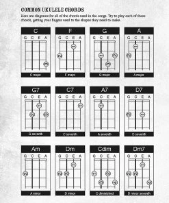 Hal Leonard USA THE ELECTRIC STRUM BOX UKULELE COMPLETE KIT
