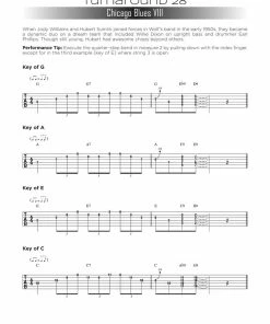Hal Leonard USA Print Music FIRST 50 BLUES TURNAROUNDS YOU SHOULD PLAY ON GUITAR