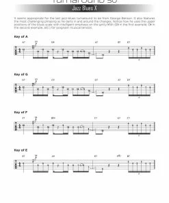 Hal Leonard USA Print Music FIRST 50 BLUES TURNAROUNDS YOU SHOULD PLAY ON GUITAR