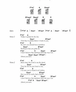 Hal Leonard USA THE LITTLE BLACK UKULELE SONGBOOK Print Music