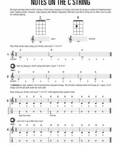 Hal Leonard USA HAL LEONARD UKULELE STARTER PACK Includes A Ukulele, Method Book With Online Audio, And DVD