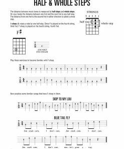 Hal Leonard USA HAL LEONARD BANJO METHOD – BOOK 1 – 2ND EDITION For 5-String Banjo Print Music