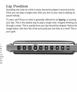 Hal Leonard USA PLAY TODAY HARMONICA KIT