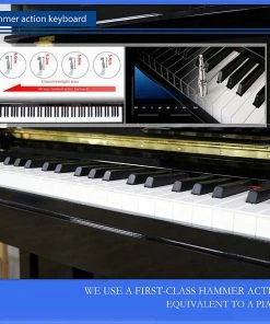 Maestro High-End 88 Note Home Digital Piano With Grand Tone & Ambience Effects Digital Pianos