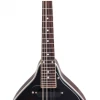 Stadium USA STADIUM A-STYLE ELECTRIC MANDOLIN VINTAGE F HOLES Folk Instruments