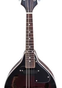 Stadium USA STADIUM A-STYLE ELECTRIC MANDOLIN VINTAGE F HOLES Folk Instruments