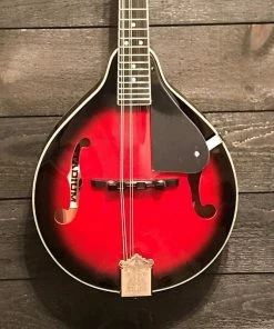 Stadium USA STADIUM A-STYLE MANDOLIN VINTAGE F HOLES Folk Instruments