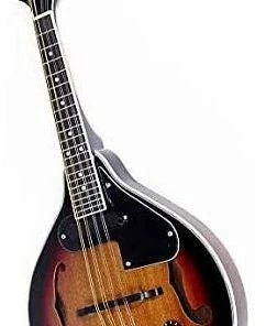 Stadium USA STADIUM A-STYLE ELECTRIC MANDOLIN VINTAGE F HOLES Folk Instruments