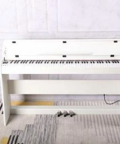 New โค๏ธ MAESTRO MDP500 88 Note Digital Piano With ๐จ Hammer Weighted Action Keys MP3 Player 256 Polyphony Digital Pianos ๐ 17 MAESTRO MDP500 88 Note Digital Piano With Hammer Weighted Action Keys MP3 Player 256 Polyphony Digital Pianos
