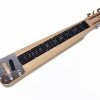 DANVILLE USA Lap Steel Guitar With Deluxe Travel Bag