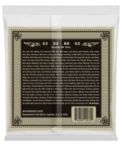 ERNIE BALL 2070 EARTHWOOD PHOSPHOR BRONZE ACOUSTIC BASS STRINGS - 45-95 GAUGE