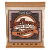 ERNIE BALL 2144 EARTHWOOD MEDIUM PHOSPHOR BRONZE ACOUSTIC GUITAR STRINGS - 13-56 GAUGE