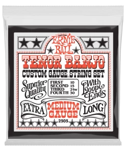 ERNIE BALL P02303 MEDIUM LOOP END STAINLESS STEEL TENOR BANJO GUITAR STRINGS - 10-30 GAUGE