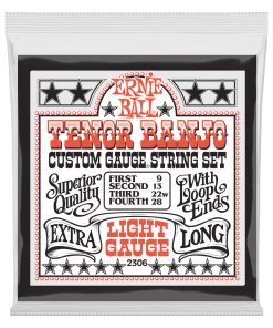 ERNIE BALL 2306 LIGHT LOOP END STAINLESS STEEL TENOR BANJO GUITAR STRINGS - 9-28 GAUGE