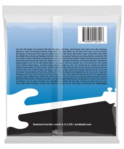 ERNIE BALL 2810 FLATWOUND 5-STRING ELECTRIC BASS STRINGS - 45-130 GAUGE