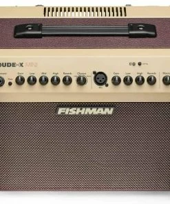 Fishman PRO-LBT-500 60 Watt Bluetooth Acoustic Guitar Amplifier