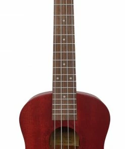 Ukuleles Aloha Tenor With Open Pore Ukulele