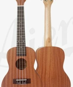 Aiersi Solid Top Concert Ukulele With Aquila Strings & Carrying Bag Ukuleles