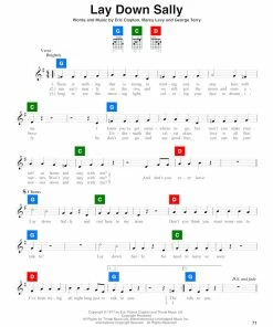 ChordBuddy USA Guitar Learning System With Song Book 3