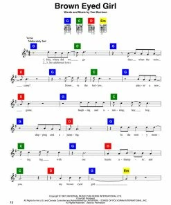 ChordBuddy USA Guitar Learning System With 60 Song Book
