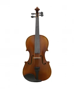 JJ Music Sales 1/2 Size Student Violin Ensemble - Matte Finish Violin's