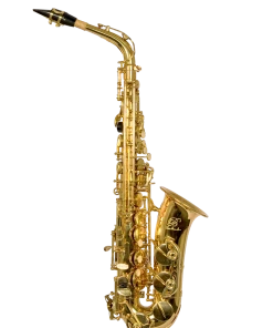 B-U.S.A. B - U.S.A. Alto Saxophone Lacquer - Gold Color Brass Instruments