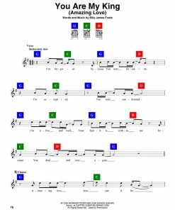 ChordBuddy USA Guitar Learning System With Worship Song Book